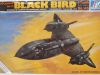 SR-71 Black bird 