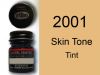 2001 Skin Tone Tint - Light (mat)