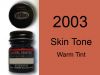 2003 Skin Tone Warm Tint (mat)